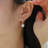 Round Moissanite Drop Earrings - Ceerom